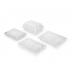 Envase lonch. c/t PET 223x145x42 PTH16 p.90