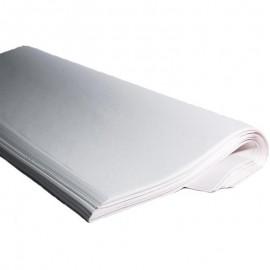 Resma papel manila blanca 1/1 62x86 p.500x2