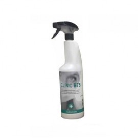 Higienitzant B75 a base d'alcohol pulv. 750ml