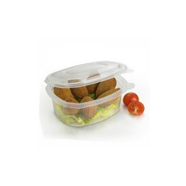 ENVASES BISAGRA PP