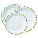 PLATS I BOLS BIO-COMPOSTABLES